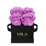  Mila-Roses-00186 Mila Classique Mini Noir Classique - Mauve