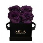  Mila-Roses-00188 Mila Classique Mini Noir Classique - Velvet purple