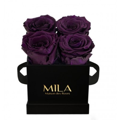Produit Mila-Roses-00188 Mila Classique Mini Noir Classique - Velvet purple