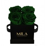  Mila-Roses-00190 Mila Classique Mini Noir Classique - Emeraude