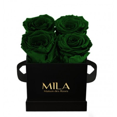 Produit Mila-Roses-00190 Mila Classique Mini Noir Classique - Emeraude