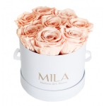  Mila-Roses-00197 Mila Classique Small Blanc Classique - Pure Peach