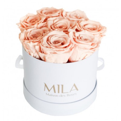 Produit Mila-Roses-00197 Mila Classique Small Blanc Classique - Pure Peach