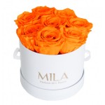  Mila-Roses-00200 Mila Classique Small Blanc Classique - Orange Bloom
