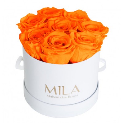 Produit Mila-Roses-00200 Mila Classique Small Blanc Classique - Orange Bloom