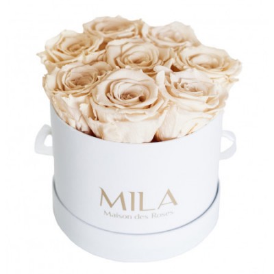 Produit Mila-Roses-00201 Mila Classique Small Blanc Classique - Champagne