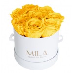  Mila-Roses-00205 Mila Classique Small Blanc Classique - Yellow Sunshine