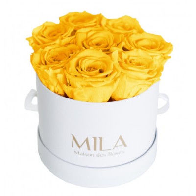 Produit Mila-Roses-00205 Mila Classique Small Blanc Classique - Yellow Sunshine