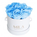 Mila-Roses-00206 Mila Classique Small Blanc Classique - Baby blue