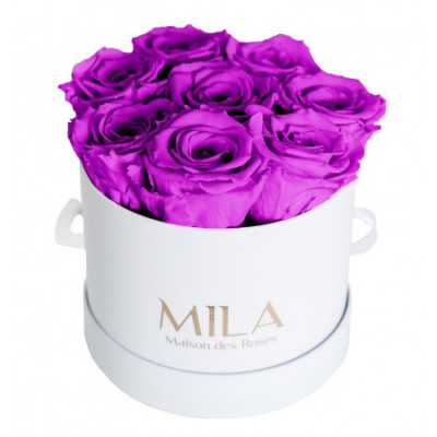 Produit Mila-Roses-00211 Mila Classique Small Blanc Classique - Violin