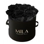  Mila-Roses-00217 Mila Classique Small Noir Classique - Black Velvet