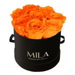  Mila-Roses-00224 Mila Classique Small Noir Classique - Orange Bloom