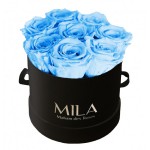 Mila-Roses-00230 Mila Classique Small Noir Classique - Baby blue