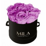  Mila-Roses-00234 Mila Classique Small Noir Classique - Mauve