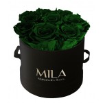  Mila-Roses-00238 Mila Classique Small Noir Classique - Emeraude
