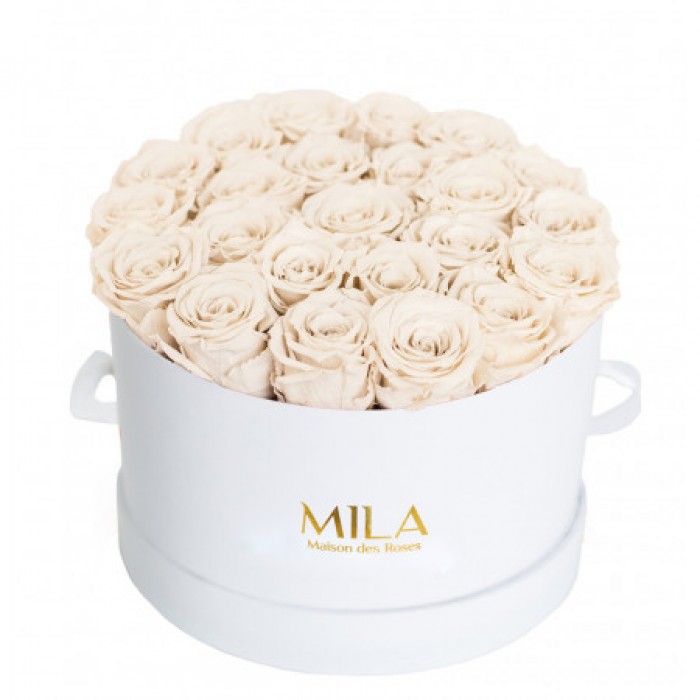 Mila Classique Large Blanc Classique - White Cream