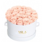  Mila-Roses-00245 Mila Classique Large Blanc Classique - Pure Peach