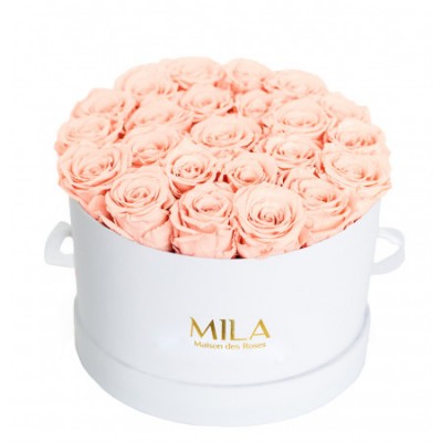 Produit Mila-Roses-00245 Mila Classique Large Blanc Classique - Pure Peach