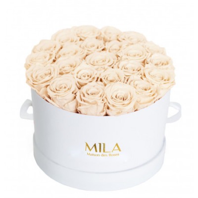 Produit Mila-Roses-00249 Mila Classique Large Blanc Classique - Champagne