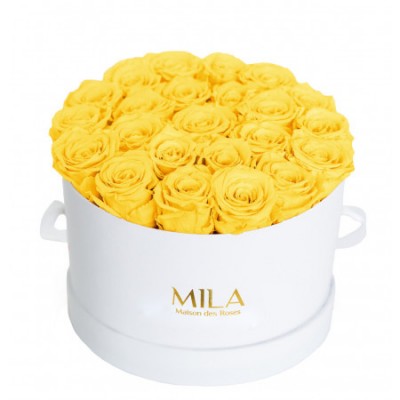 Produit Mila-Roses-00253 Mila Classique Large Blanc Classique - Yellow Sunshine