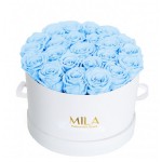  Mila-Roses-00254 Mila Classique Large Blanc Classique - Baby blue