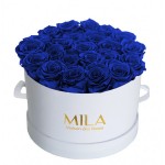  Mila-Roses-00256 Mila Classique Large Blanc Classique - Royal blue