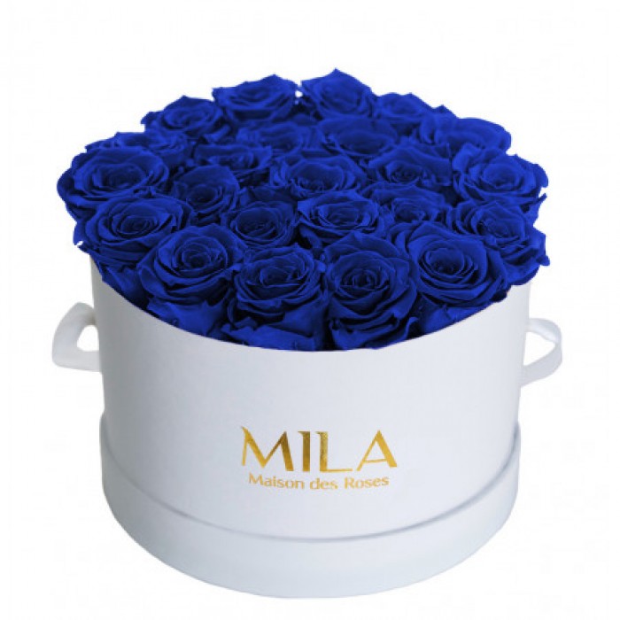 Mila Classique Large Blanc Classique - Royal blue