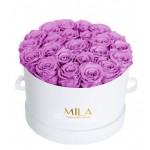  Mila-Roses-00258 Mila Classique Large Blanc Classique - Mauve