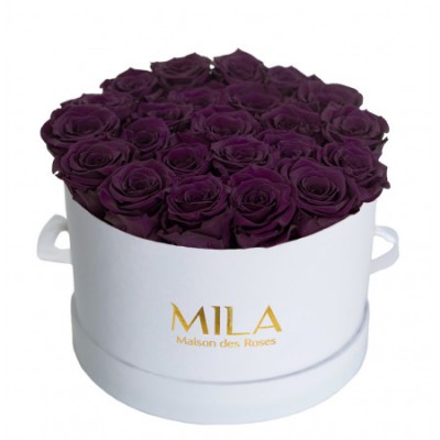 Produit Mila-Roses-00260 Mila Classique Large Blanc Classique - Velvet purple