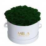  Mila-Roses-00262 Mila Classique Large Blanc Classique - Emeraude
