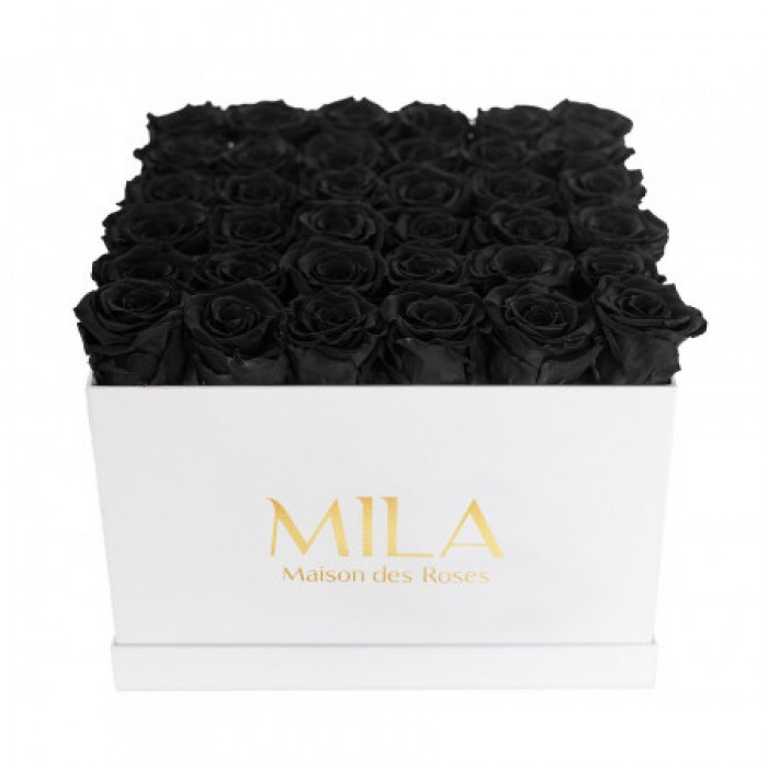 Mila Classique Luxe Blanc Classique - Black Velvet