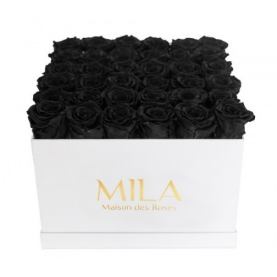 Produit Mila-Roses-00289 Mila Classique Luxe Blanc Classique - Black Velvet