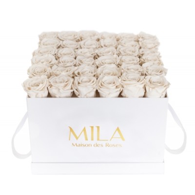 Produit Mila-Roses-00290 Mila Classique Luxe Blanc Classique - White Cream