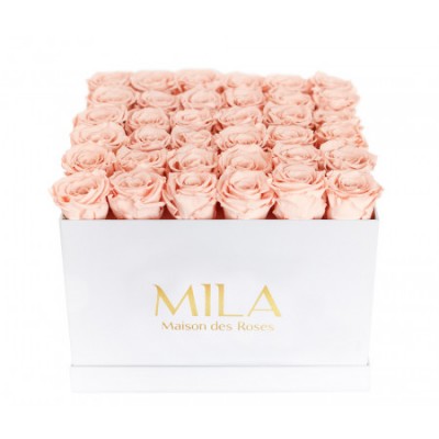 Produit Mila-Roses-00293 Mila Classique Luxe Blanc Classique - Pure Peach