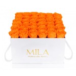  Mila-Roses-00296 Mila Classique Luxe Blanc Classique - Orange Bloom