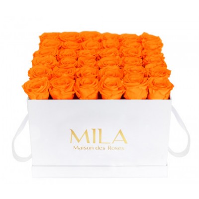 Produit Mila-Roses-00296 Mila Classique Luxe Blanc Classique - Orange Bloom