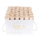 Mila-Roses-00297 Mila Classique Luxe Blanc Classique - Champagne