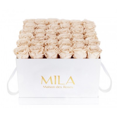 Produit Mila-Roses-00297 Mila Classique Luxe Blanc Classique - Champagne