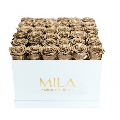 Produit Mila-Roses-00298 Mila Classique Luxe Blanc Classique - Metallic Gold