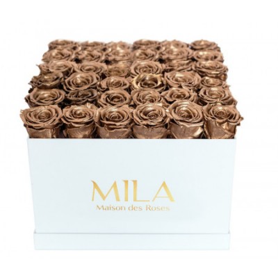 Produit Mila-Roses-00300 Mila Classique Luxe Blanc Classique - Metallic Copper