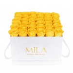  Mila-Roses-00301 Mila Classique Luxe Blanc Classique - Yellow Sunshine