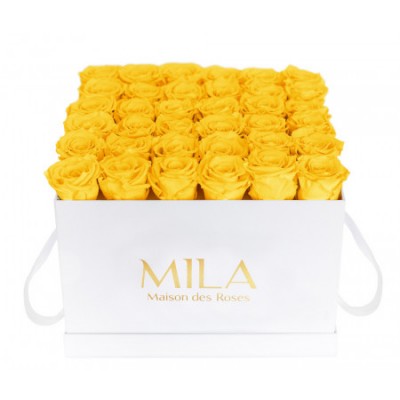 Produit Mila-Roses-00301 Mila Classique Luxe Blanc Classique - Yellow Sunshine