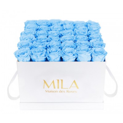 Produit Mila-Roses-00302 Mila Classique Luxe Blanc Classique - Baby blue