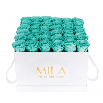 Produit Mila-Roses-00303 Mila Classique Luxe Blanc Classique - Aquamarine