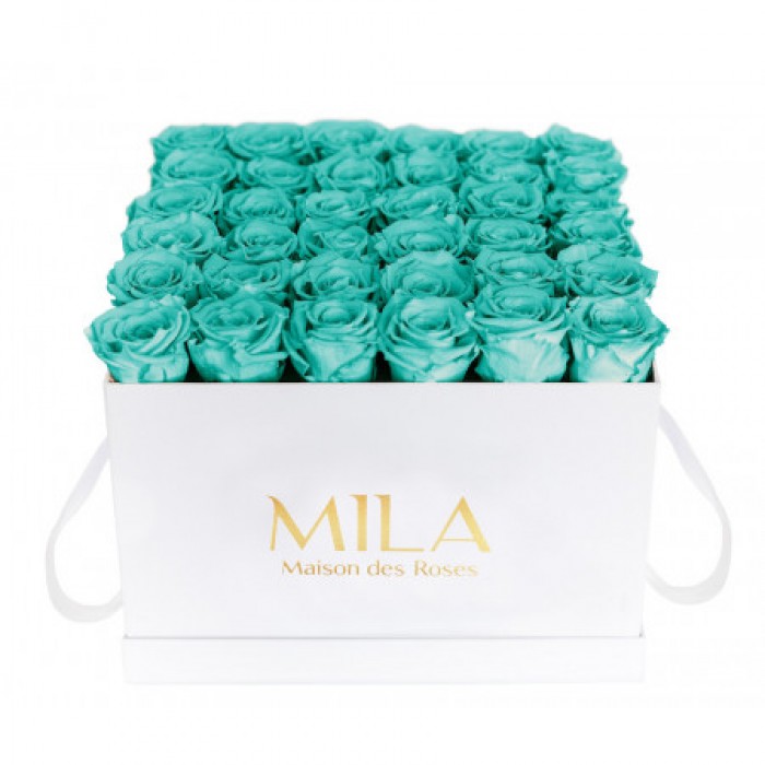 Mila Classique Luxe Blanc Classique - Aquamarine