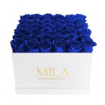 Mila-Roses-00304 Mila Classique Luxe Blanc Classique - Royal blue