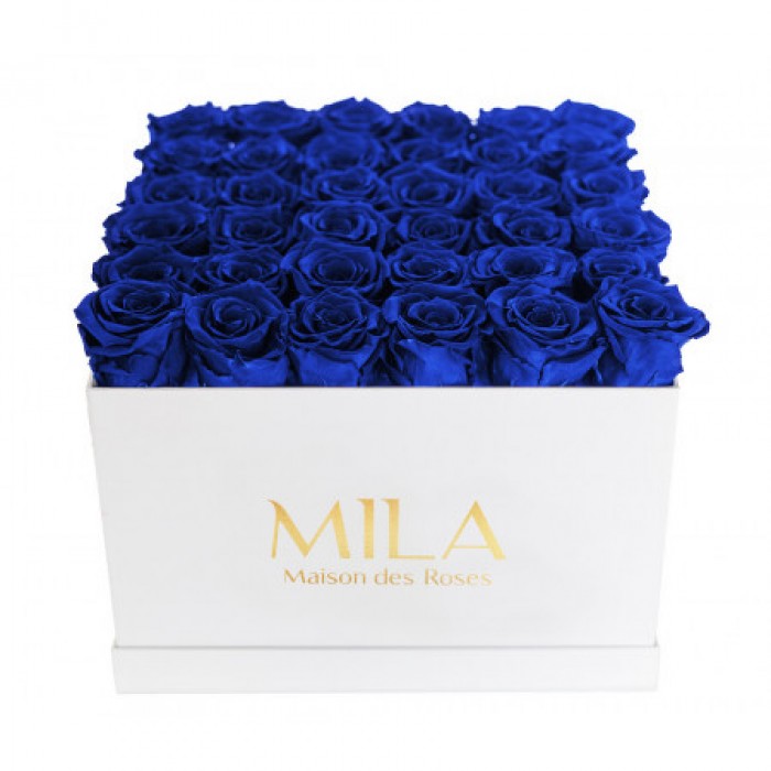 Mila Classique Luxe Blanc Classique - Royal blue
