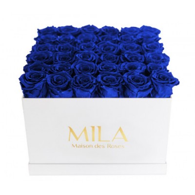 Produit Mila-Roses-00304 Mila Classique Luxe Blanc Classique - Royal blue