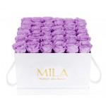  Mila-Roses-00305 Mila Classique Luxe Blanc Classique - Lavender