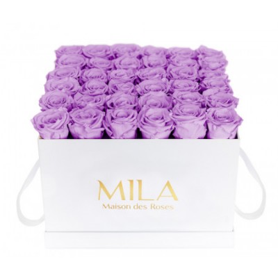 Produit Mila-Roses-00305 Mila Classique Luxe Blanc Classique - Lavender